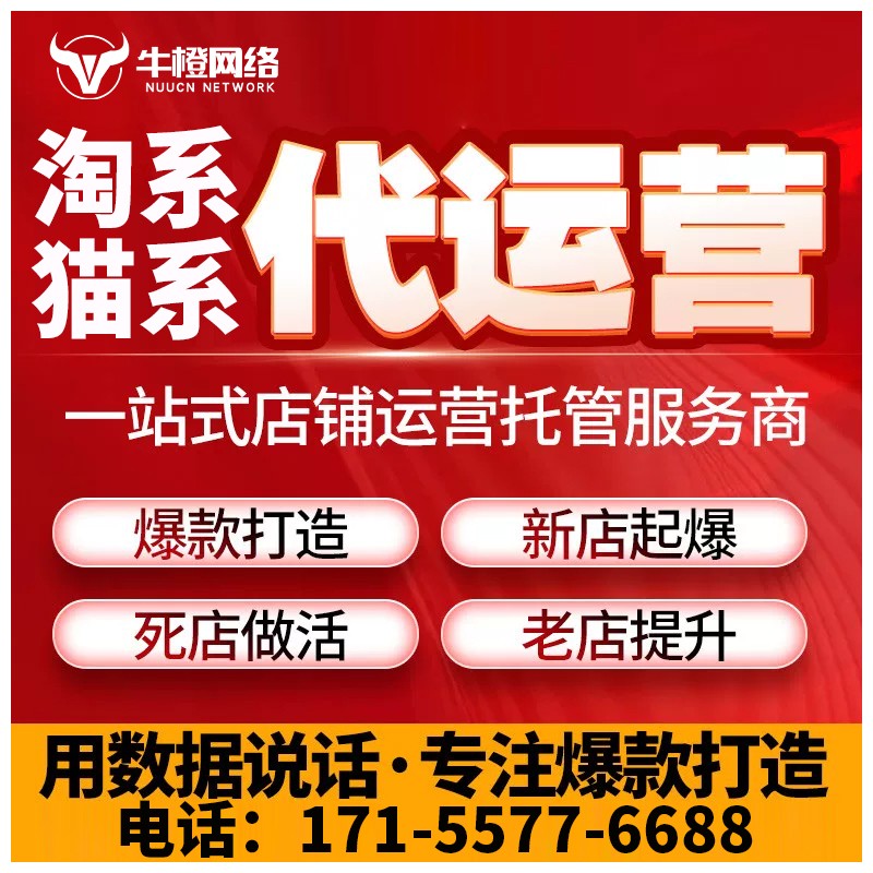 界首淘宝天猫代运营
