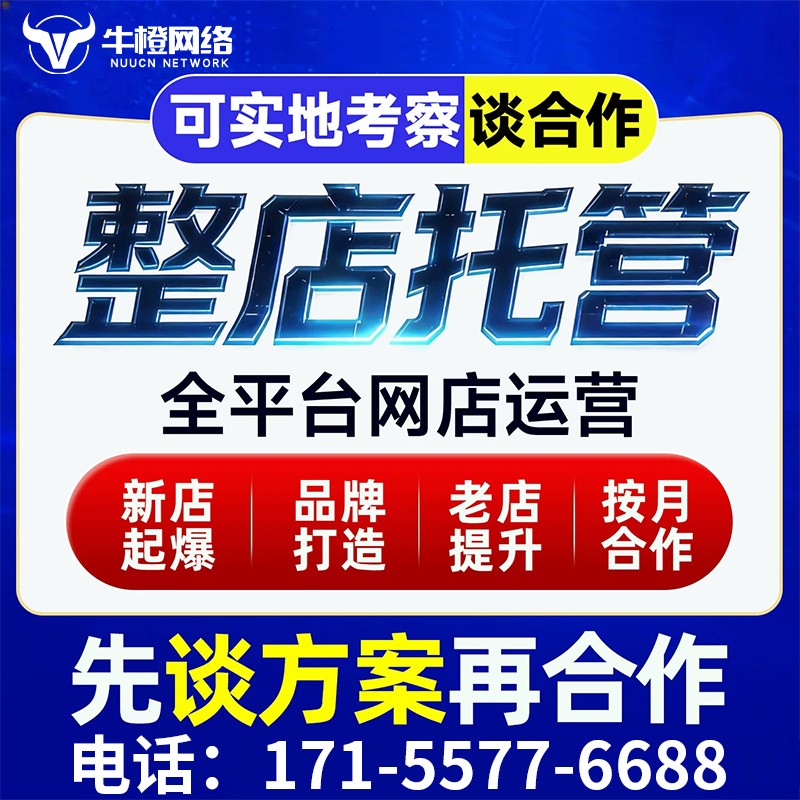 界首拼多多代运营