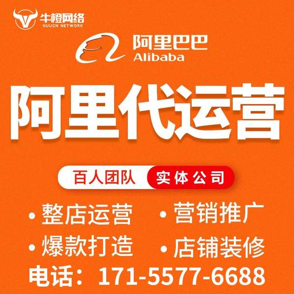 界首电商代运营