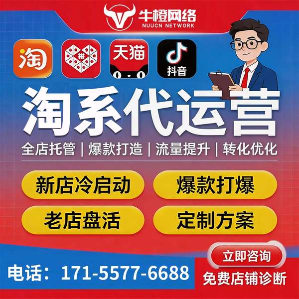 界首电商代运营