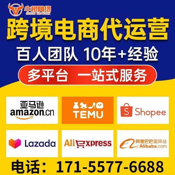 界首电商代运营