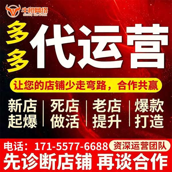 界首电商代运营