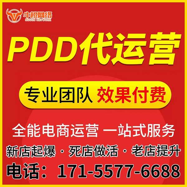 界首电商代运营
