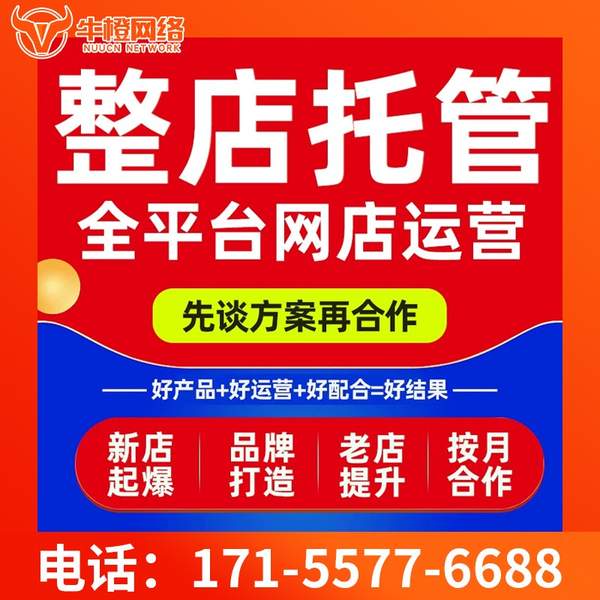 界首电商代运营