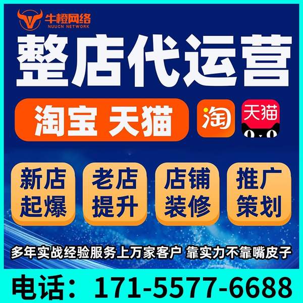 界首电商代运营