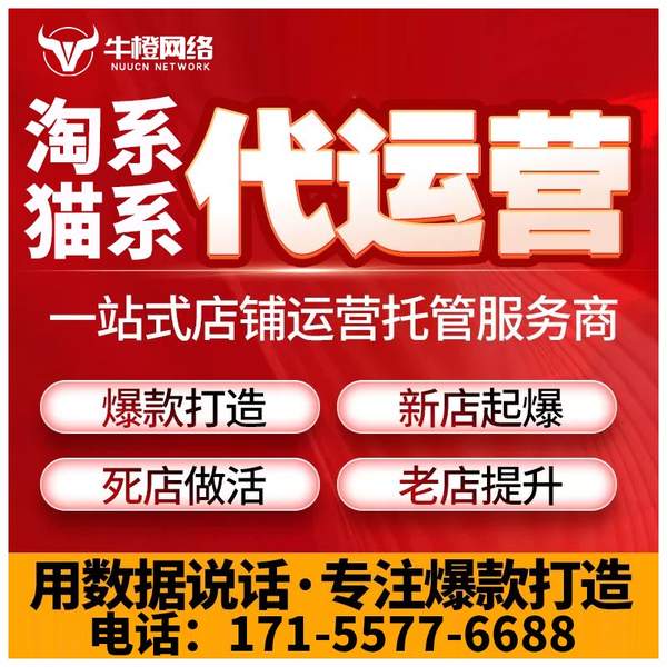 界首电商代运营